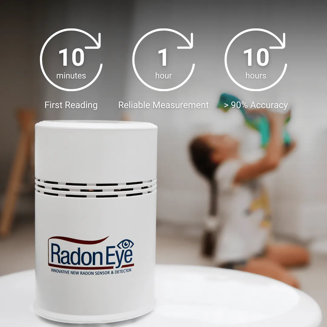 Ecosense RadonEye RD200, photo 4 of 4